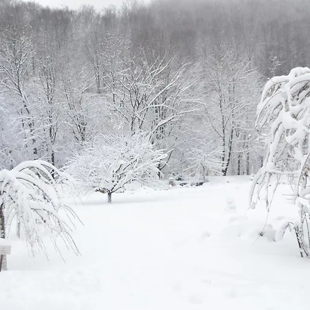 Belle Royalle Lisarnya